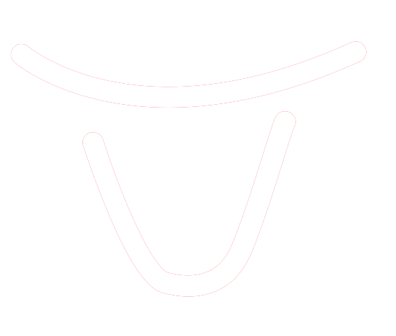 visuellogo-blc